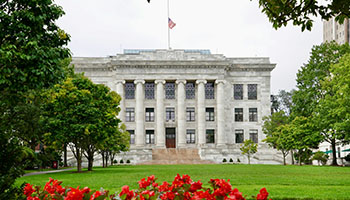 Voting theme image