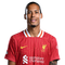 Virgil van Dijk
