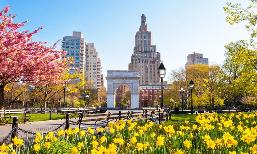New York University (NYU) – New York, NY