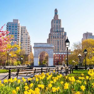 New York University (NYU) – New York, NY