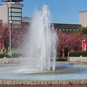 Stony Brook University (SUNY) – Stony Brook, NY