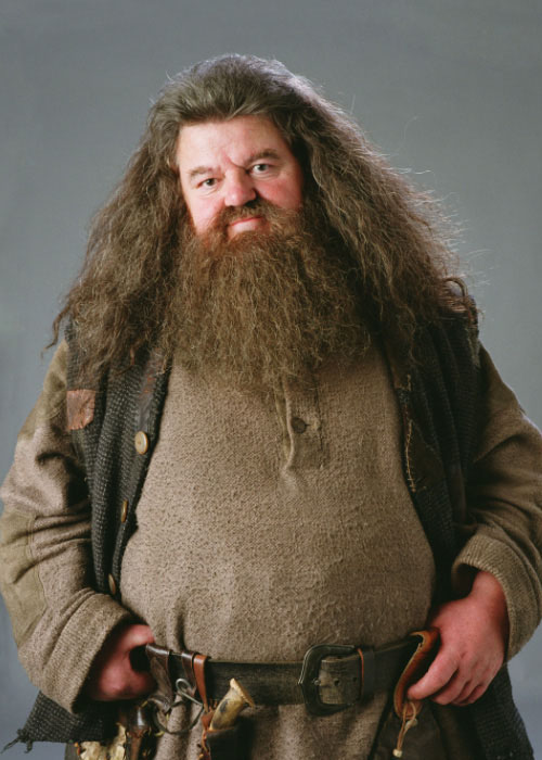 Rubeus Hagrid