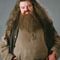 Rubeus Hagrid