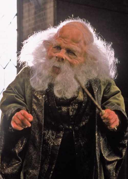 Filius Flitwick