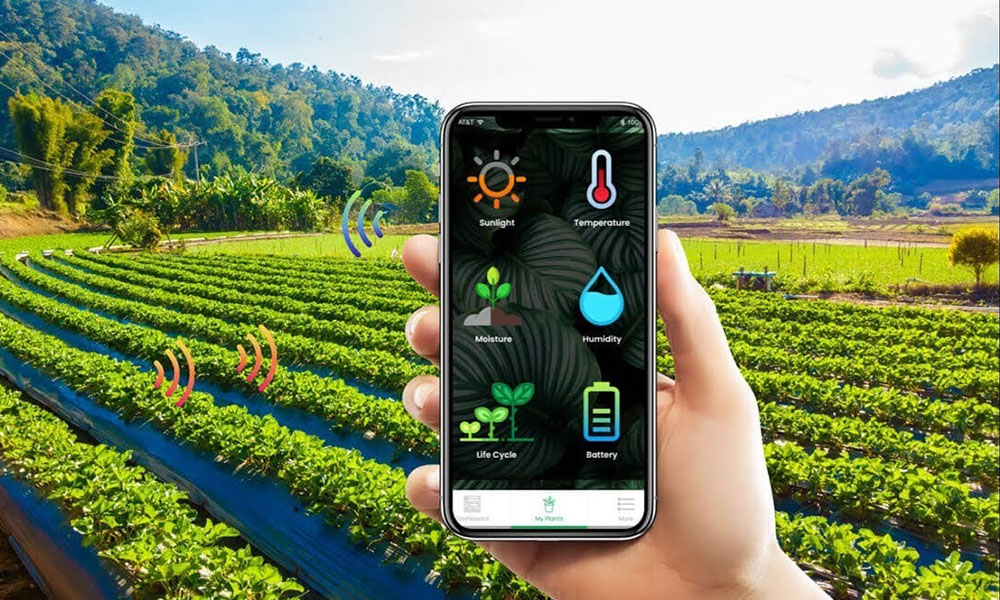 Smart Irrigation System