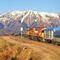 the tranzalpine train