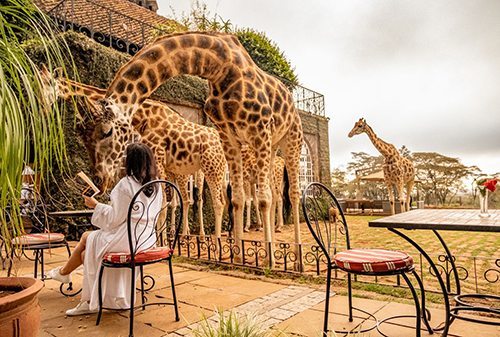 Giraffe Manor – Nairobi, Kenya 🇰🇪