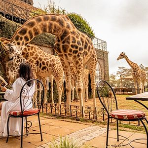 Giraffe Manor – Nairobi, Kenya 🇰🇪