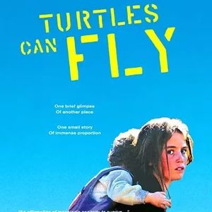 Turtles Can Fly