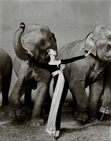 Avedon, Dovima with Elephants