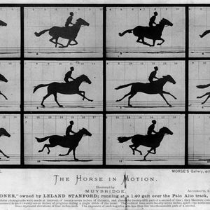 Eadweard Muybridge, The Horse in Motion