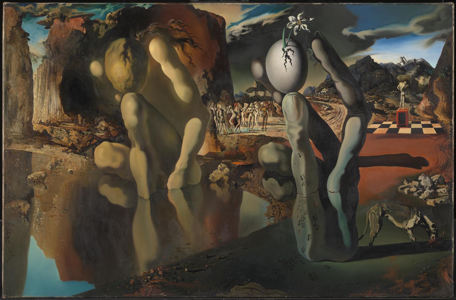 Dali, Narcissus