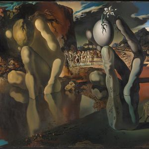 Dali, Narcissus