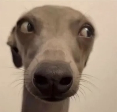 .