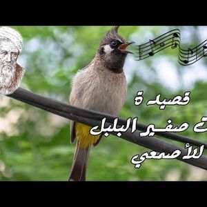 عذوب العنزي 