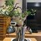 植物名：正白皮沒藥
