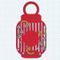Lunar New Year lanterns